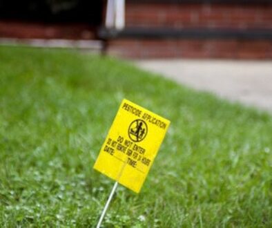 Yellow-Pesticide-Application